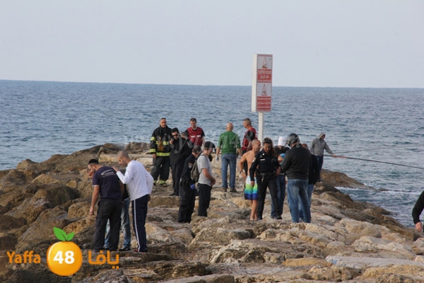 jotha northyaffa dolfan (16).JPG